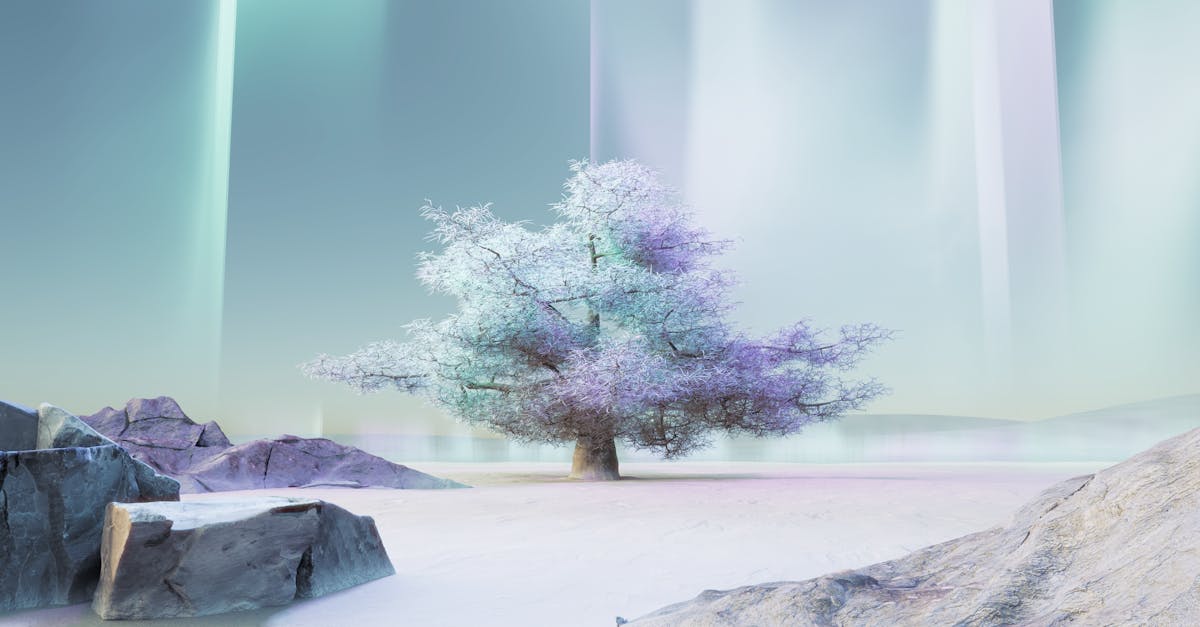 The Fine Line Between Attachment and Obsession in AI Interaction